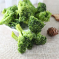 Fd Freeze Dried Vegetables Broccoli From China